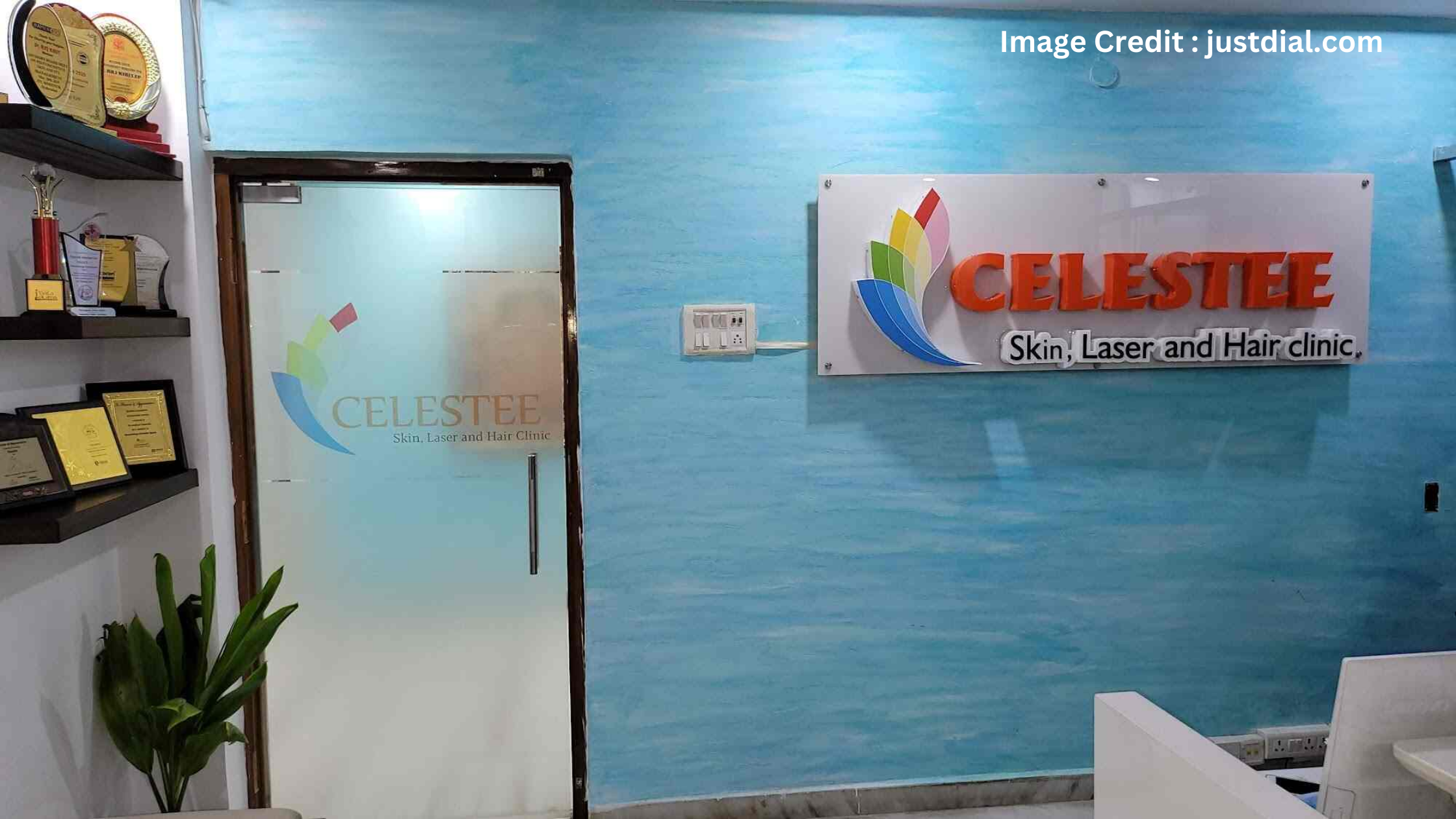 Celestee Hair Transplantation Clinic