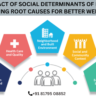 The Impact of Social Determinants of Health: Addressing Root Causes for Better Well-being