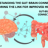 Understanding the Gut-Brain Connection: Exploring the Link for Improved Health