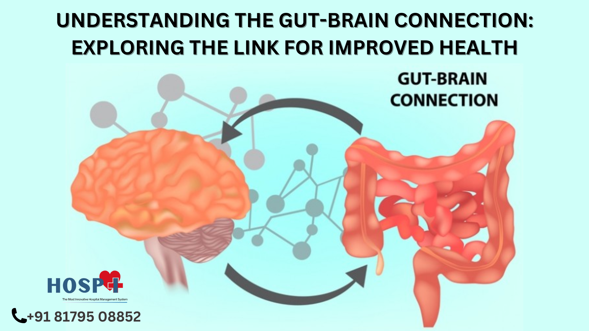 Understanding the Gut-Brain Connection: Exploring the Link for Improved Health