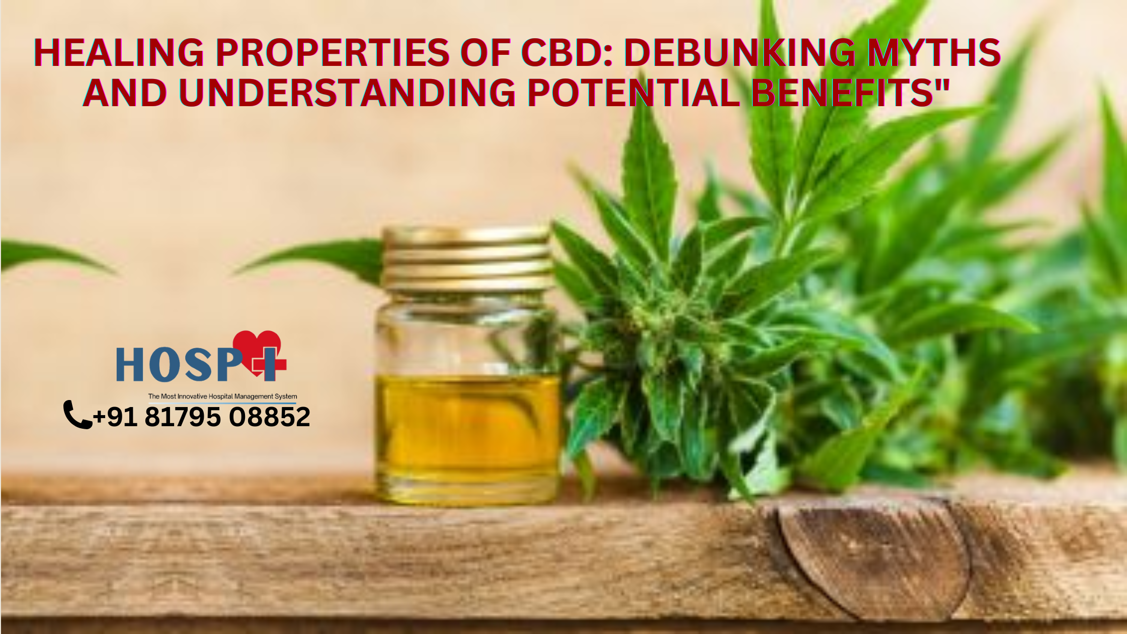 Healing Properties of CBD: Debunking Myths and Understanding Potential Benefits"