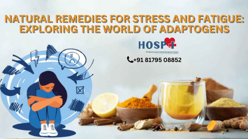 Natural Remedies for Stress and Fatigue: Exploring the World of Adaptogens